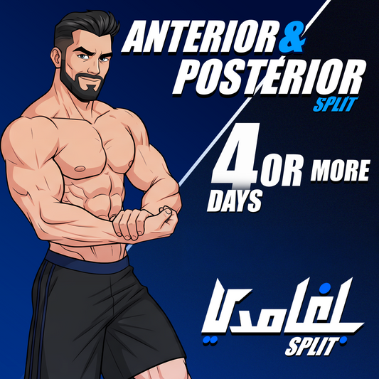 Anterior x Posterior